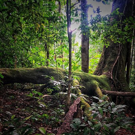 Puerto Jiménez El Remanso Rainforest Lodge מראה חיצוני תמונה