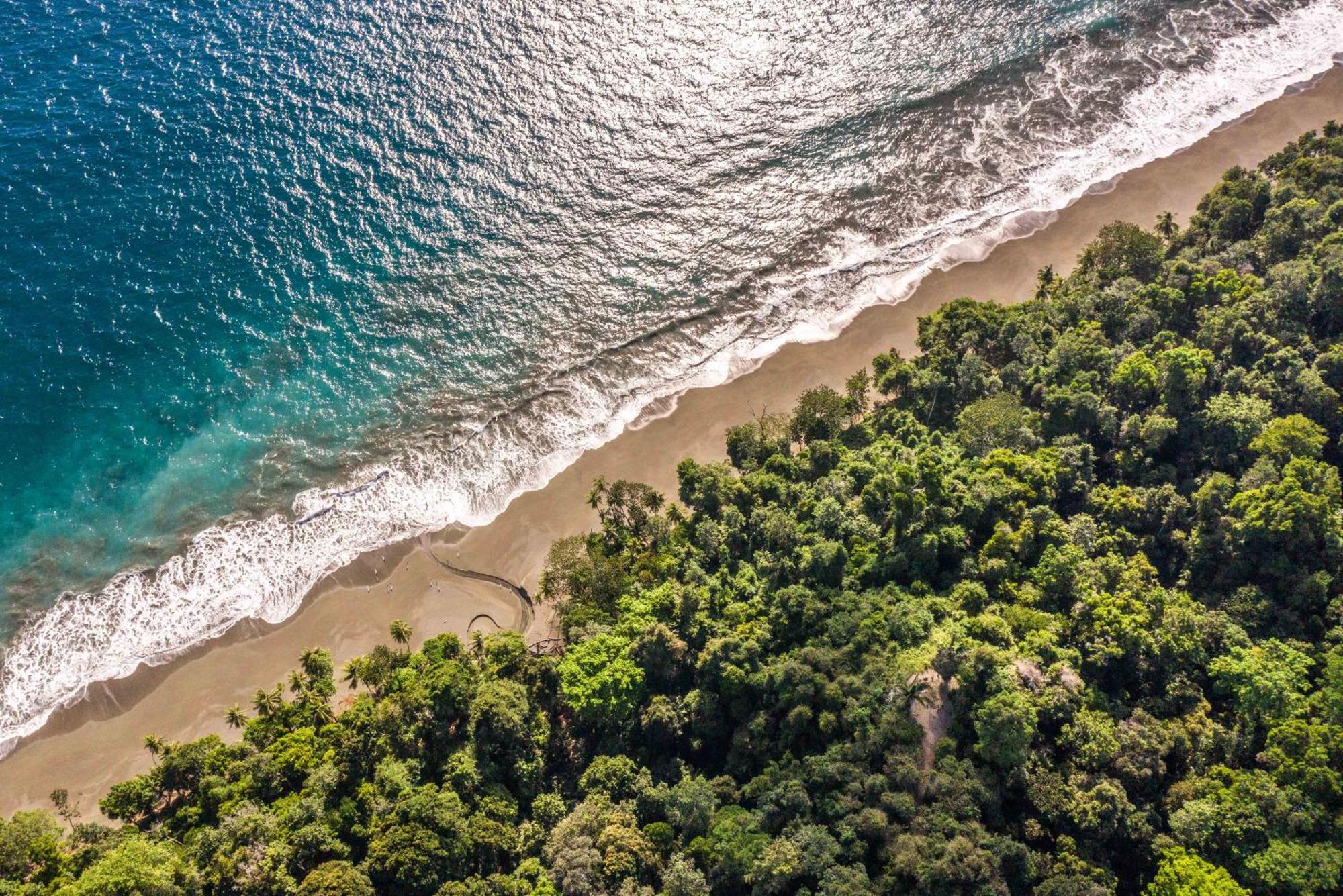 Puerto Jiménez El Remanso Rainforest Lodge מראה חיצוני תמונה