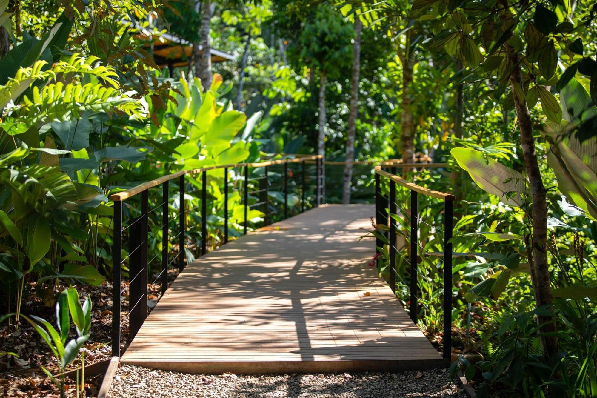 Puerto Jiménez El Remanso Rainforest Lodge מראה חיצוני תמונה