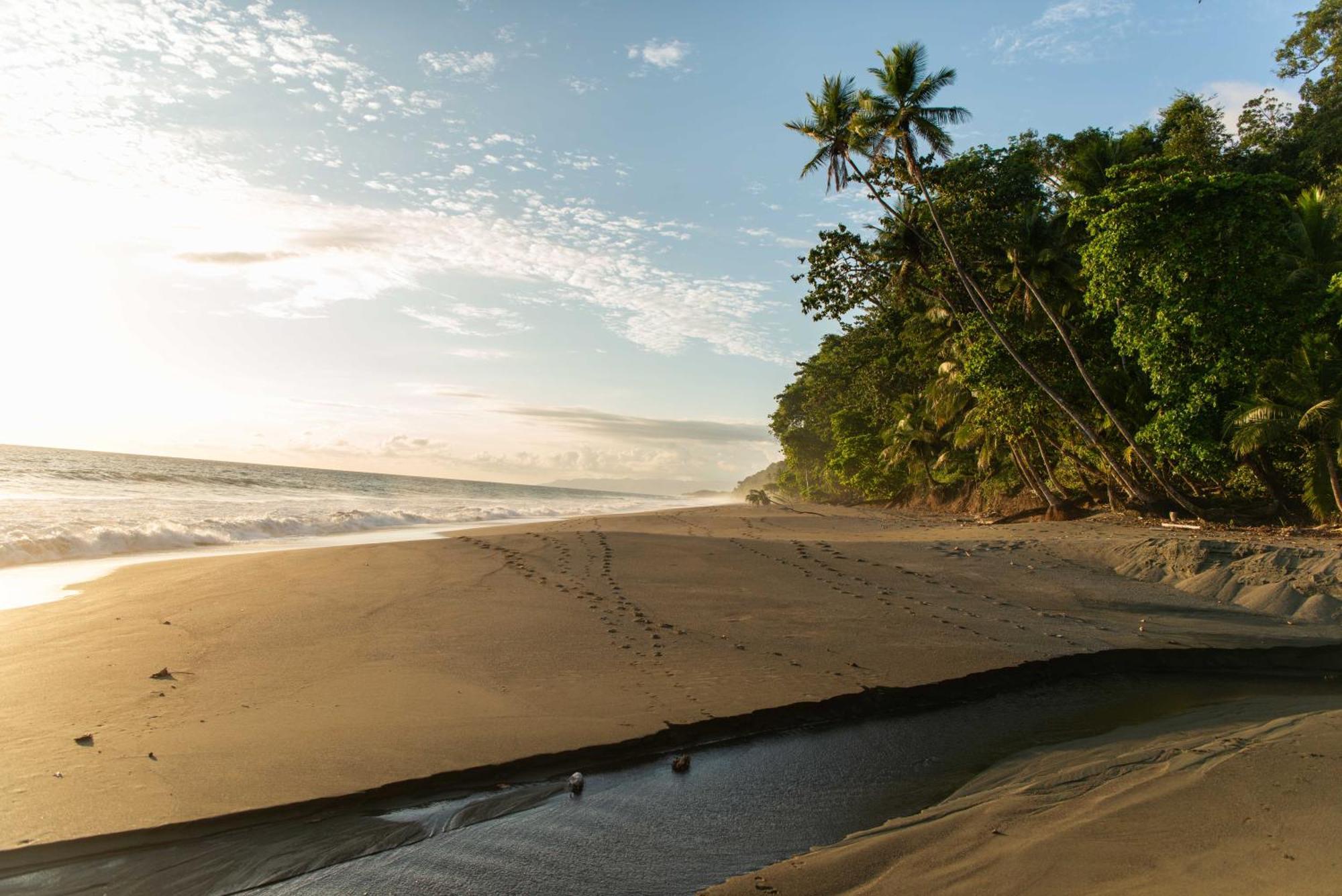 Puerto Jiménez El Remanso Rainforest Lodge מראה חיצוני תמונה