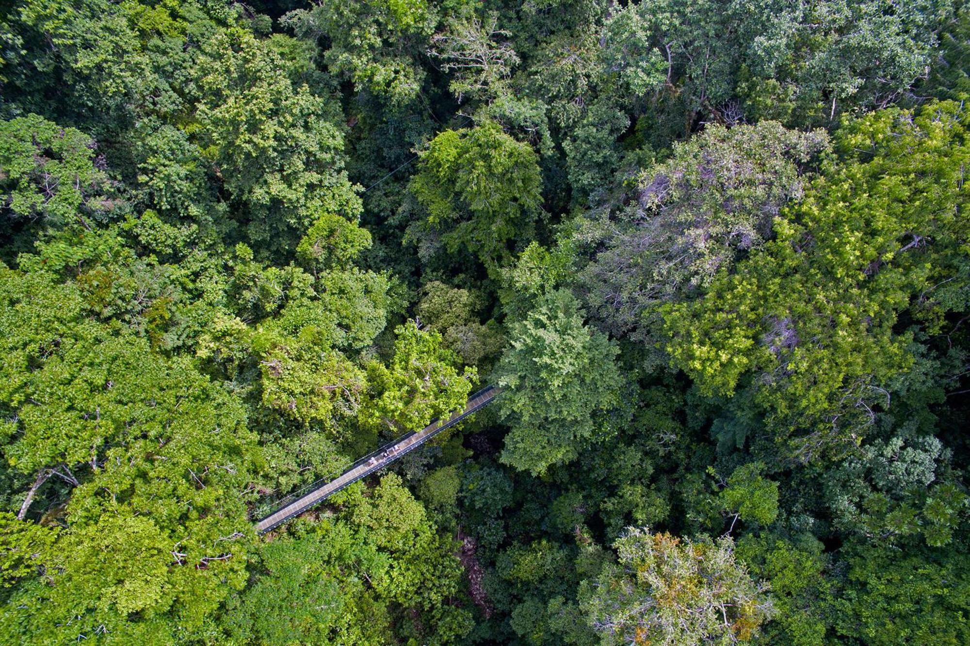Puerto Jiménez El Remanso Rainforest Lodge מראה חיצוני תמונה