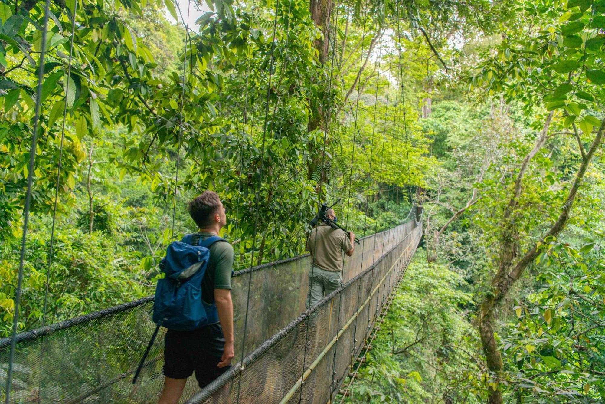 Puerto Jiménez El Remanso Rainforest Lodge מראה חיצוני תמונה