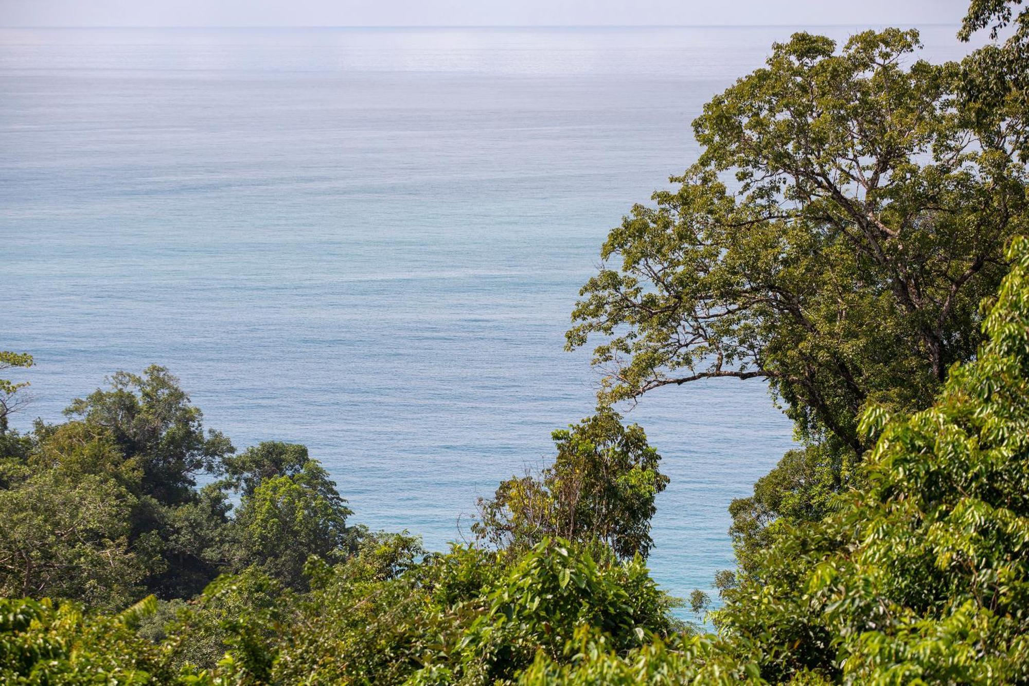 Puerto Jiménez El Remanso Rainforest Lodge מראה חיצוני תמונה