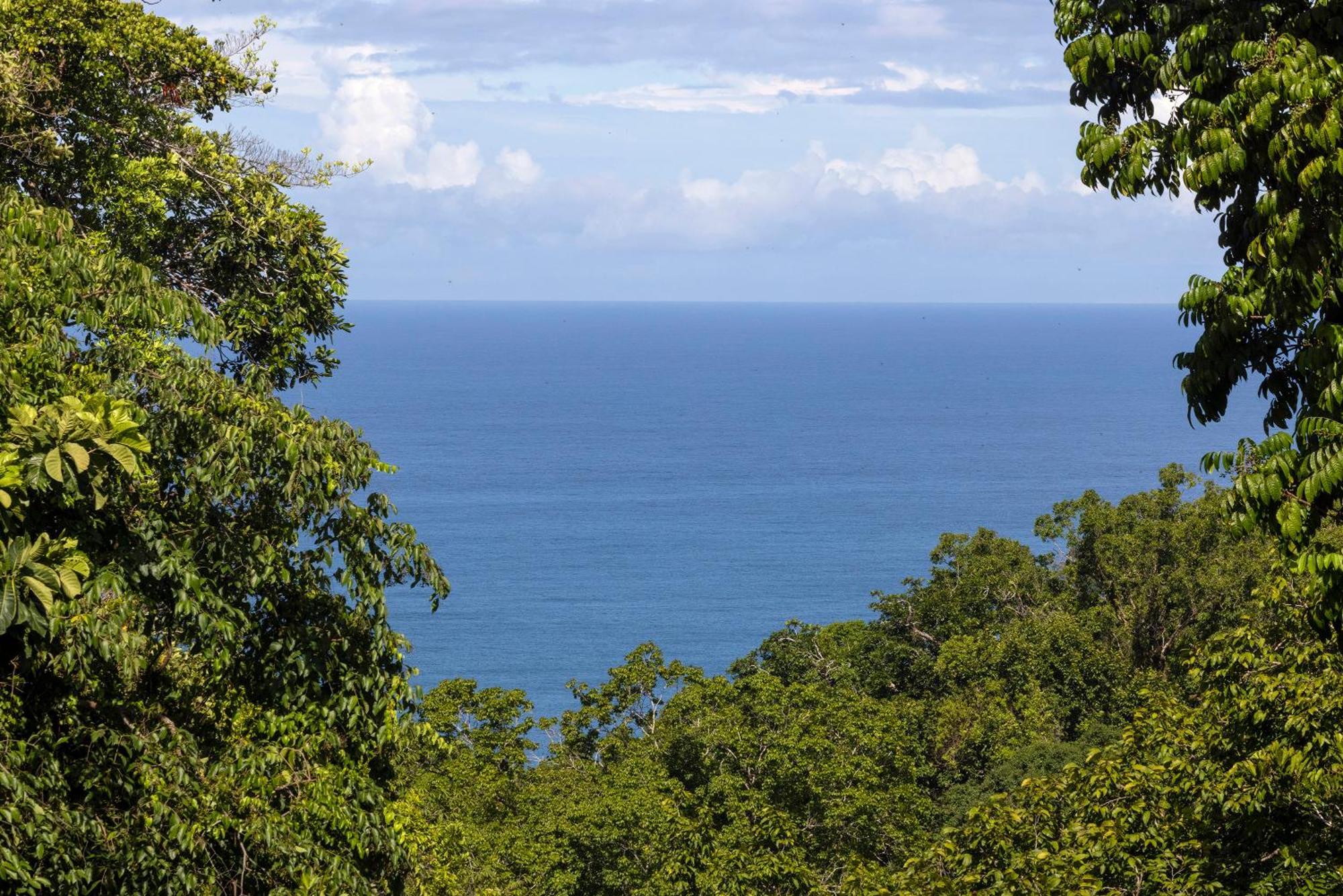 Puerto Jiménez El Remanso Rainforest Lodge מראה חיצוני תמונה
